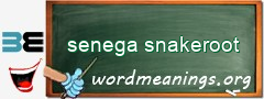 WordMeaning blackboard for senega snakeroot